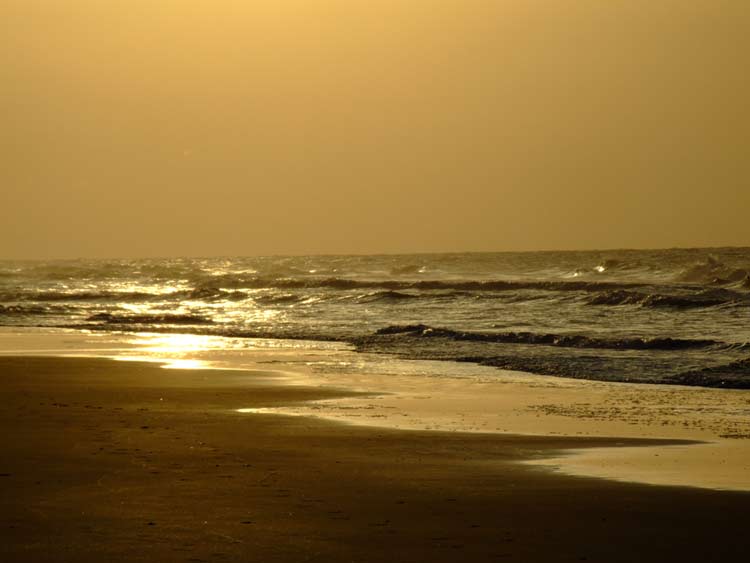 Ocean view Folly Beach Rental Vacation