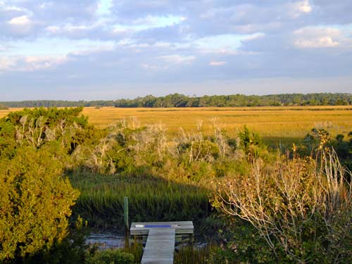 Tidal Creek Folly Beach