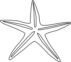 Starfish beach rental